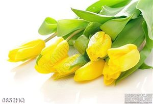 Tranh hoa tulip vàng trang trí phòng khách