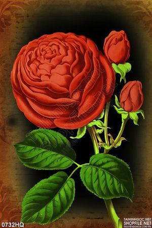 Tranh hoa hồng nghệ thuật treo tường