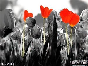 Tranh hoa tulip nghệ thuật
