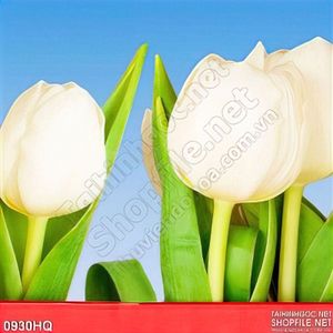 Tranh hoa tulip trang trí độc đáo