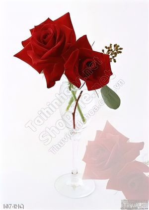 Tranh hoa hồng trang trí đẹp