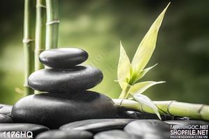 Tranh hoa lá Spa trang trí đẹp