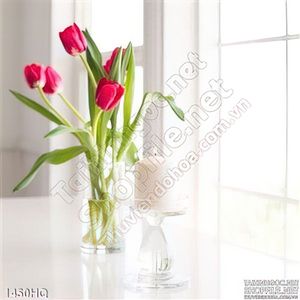 Tranh hoa tulip trang trí đẹp