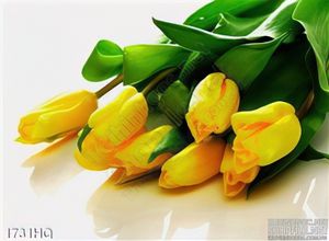 Tranh hoa tulip trang trí dán tường đẹp