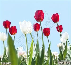 Tranh hoa tulip treo tường phòng khách