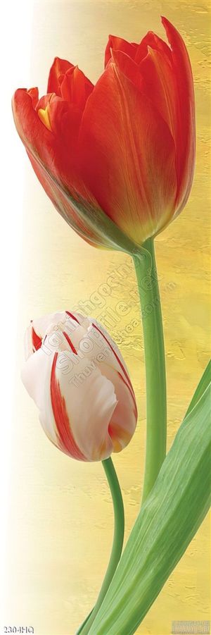 Tranh hoa Tulip sơn dầu đẹp