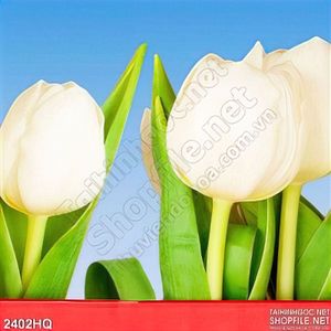 Tranh hoa tulip trang trí treo tường đẹp