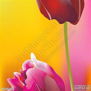 Tranh hoa tulip trang trí dán tường phòng khách