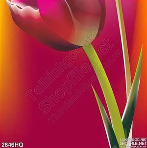 Tranh hoa tulip độc đáo nghệ thuật