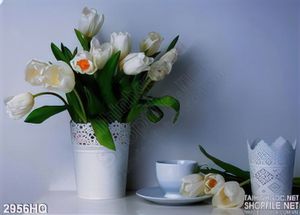 Tranh hoa tulip trang trí dán tường đẹp