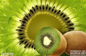 Tranh quả Kiwi trang trí dán tường đẹp