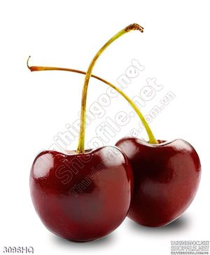 Tranh cherry