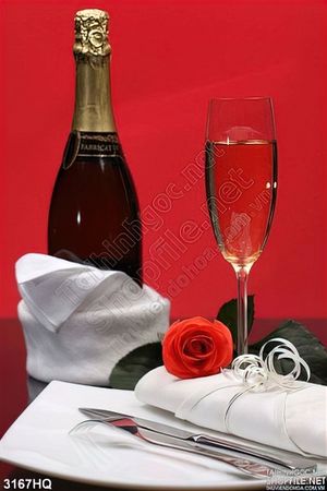 Tranh hoa hồng và rượu vang