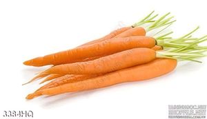 Tranh cà rốt