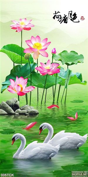 Tranh hoa sen, cá chép và thiên nga