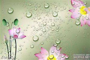 Tranh hoa sen nền xanh