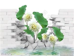 Tranh hoa sen, cá chép dán tường