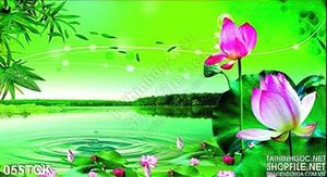 Tranh hoa sen, cá chép nền xanh