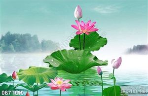 Tranh hoa sen, cá chép độc đáo