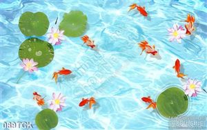 Tranh hoa sen, cá chép trang trí tường