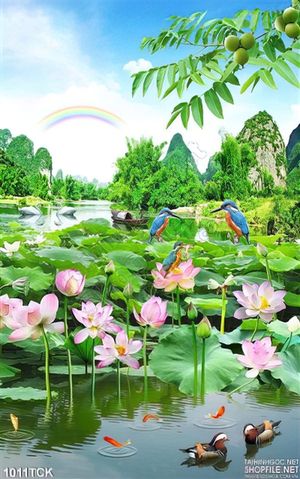 Tranh phong thủy và đầm sen đẹp 3d