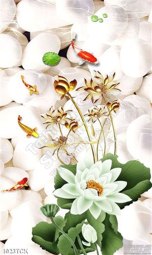 Tranh hoa sen và nền sỏi trắng