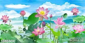 Tranh hoa sen và bầu trời xanh