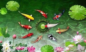 Tranh  viên ngọc xanh và cá chép koi in 3d