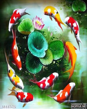 Tranh sơn dầu cá chép bơi quanh bông hoa sen
