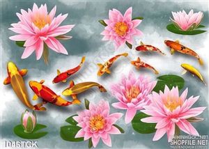 Tranh  hoa sen hồng và cá chép vàng 3d
