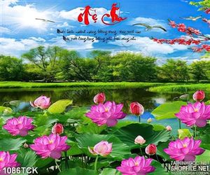 Tranh đầm sen và bầu trời trong xanh in uv