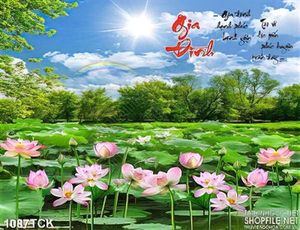 Tranh  gia đinh hoa sen ngập tràn ấn tượng