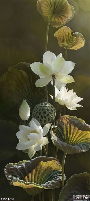 Tranh hoa sen 3D