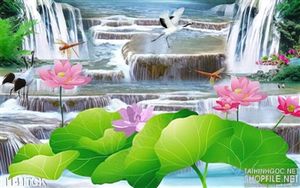 Tranh hoa sen và thác nước