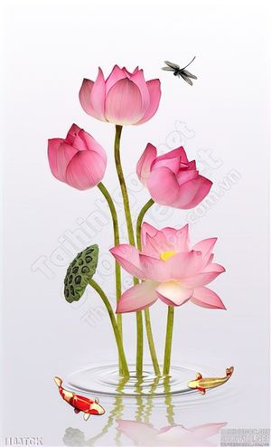 Tranh tường hoa sen cá chép
