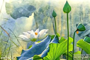 Tranh hoa sen trang trí nghệ thuật
