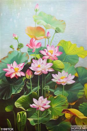 Tranh hoa sen 3D độc đáo