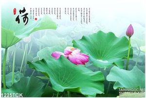 tranh hoa Sen đẹp treo tường phòng khách