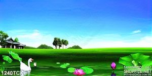 Tranh hồ sen psd