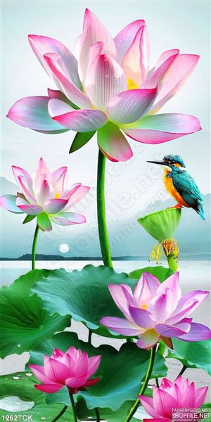 Tranh hoa sen hồng buổi sáng sớm