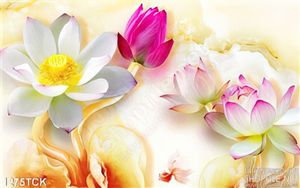 Tranh treo phòng hoa sen độc đáo