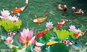 Tranh tường cá chép hoa sen