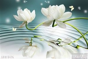 Tranh bông sen trắng trên mặt nước