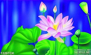 Tranh vector sen hồng