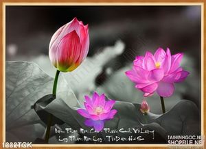 Tranh nghệ thuật hoa sen sống động