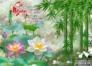 Tranh hoa sen cuội nguồn