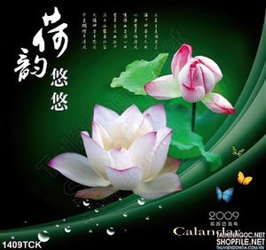 Tranh hoa sen canvas