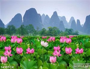 Tranh cảnh hoa sen nở trong núi