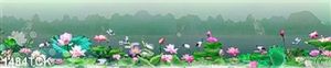 Tranh sen trong đầm buổi sớm mai