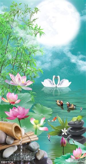 Hoa sen trong hồ thưởng trăng